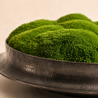 Copper Eternal Moss Bowl