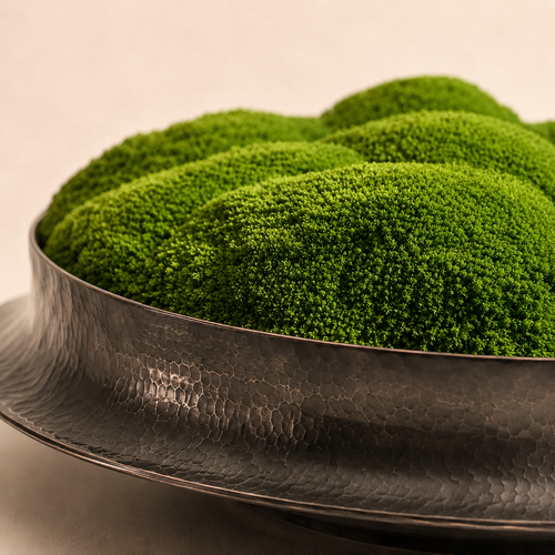Copper Eternal Moss Bowl