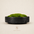 Lava Eternal Moss Bowl