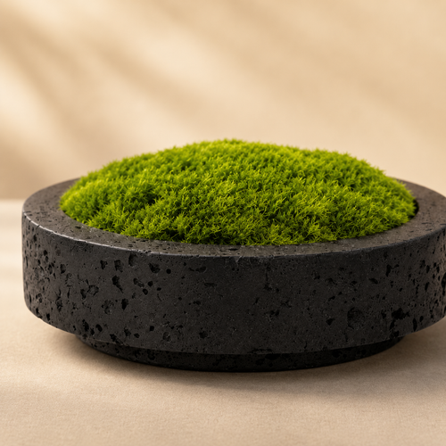 Lava Eternal Moss Bowl