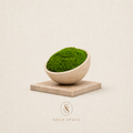 Travertine Eternal Moss Bowl